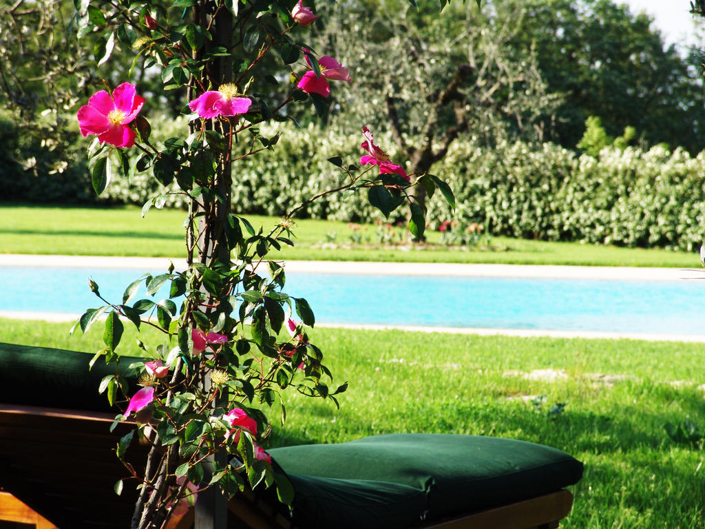 Tenuta Le Viste Bed and Breakfast Σκαντίτσι Εξωτερικό φωτογραφία